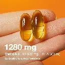 OMEGA4.webp